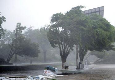 提醒在越南南部和中部的游客注意台风