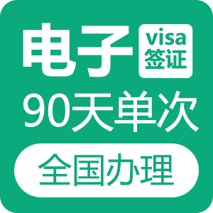 越南旅游电子签证（90天单次）[全国受理]