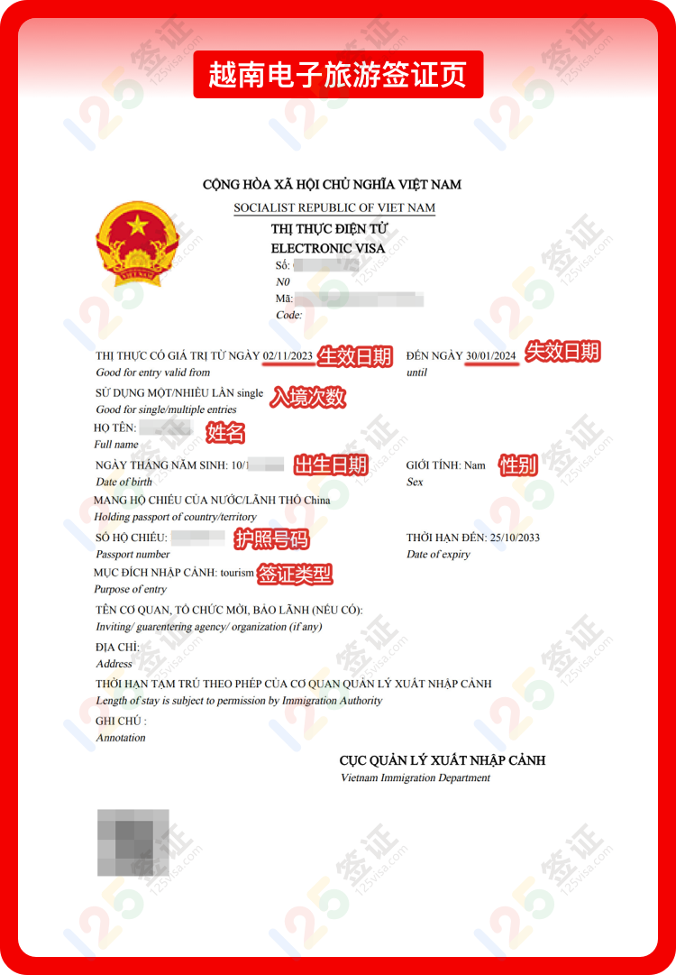 越南电子旅游签证样式图.png